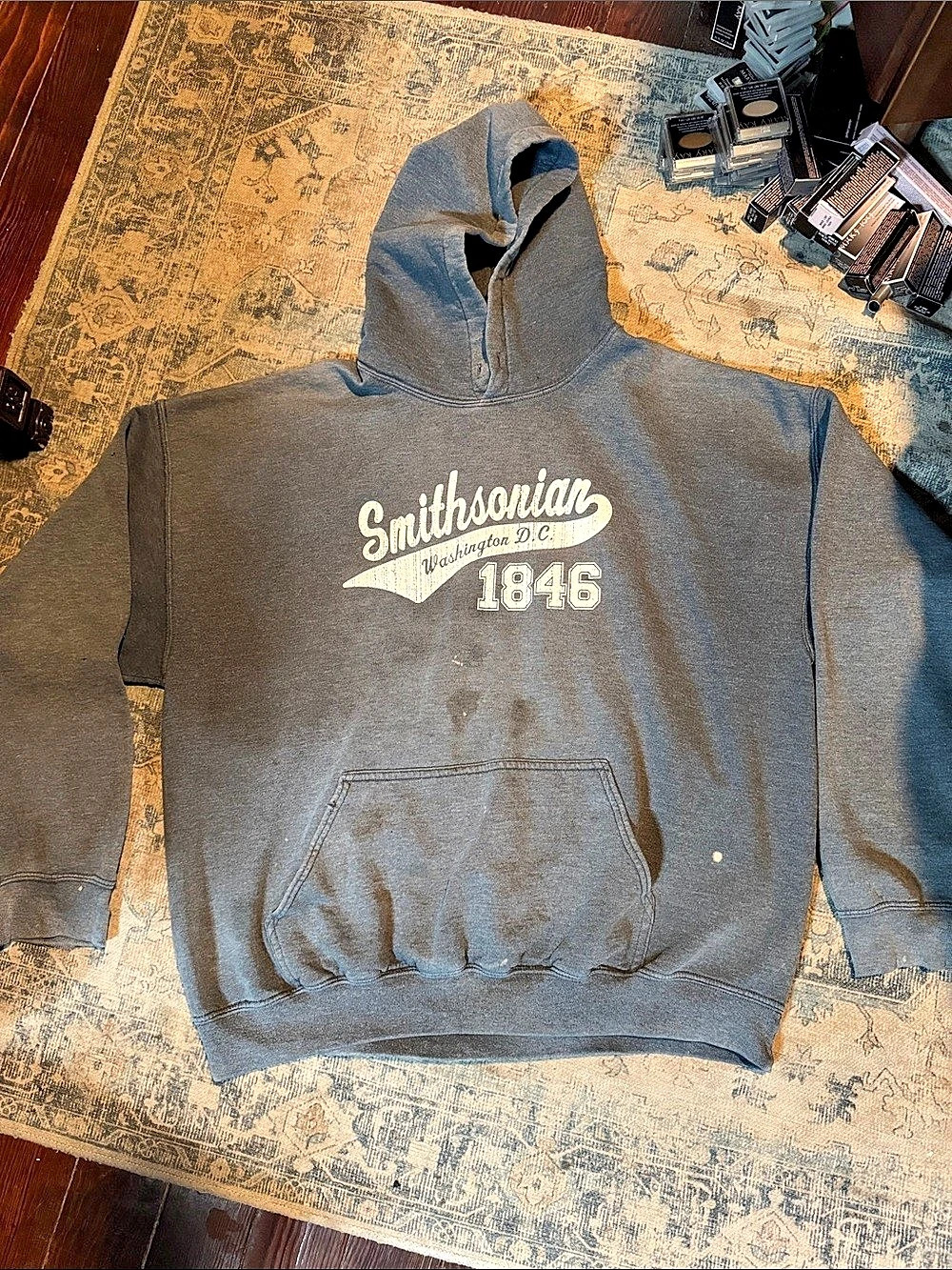 Smithsonian Institution Washington D.C. 1846 Graphic Hoodie in Gray